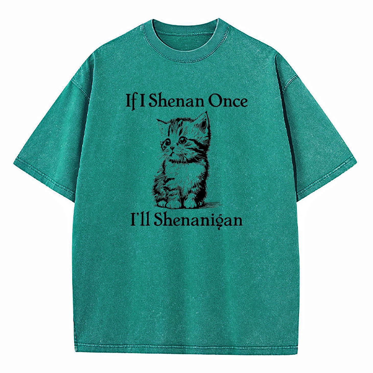  If I Shenan Once I'll Shenanigan Washed T-Shirt