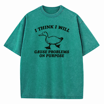 I Think I Will Cause Problems On Purpose Washed T-Shirt