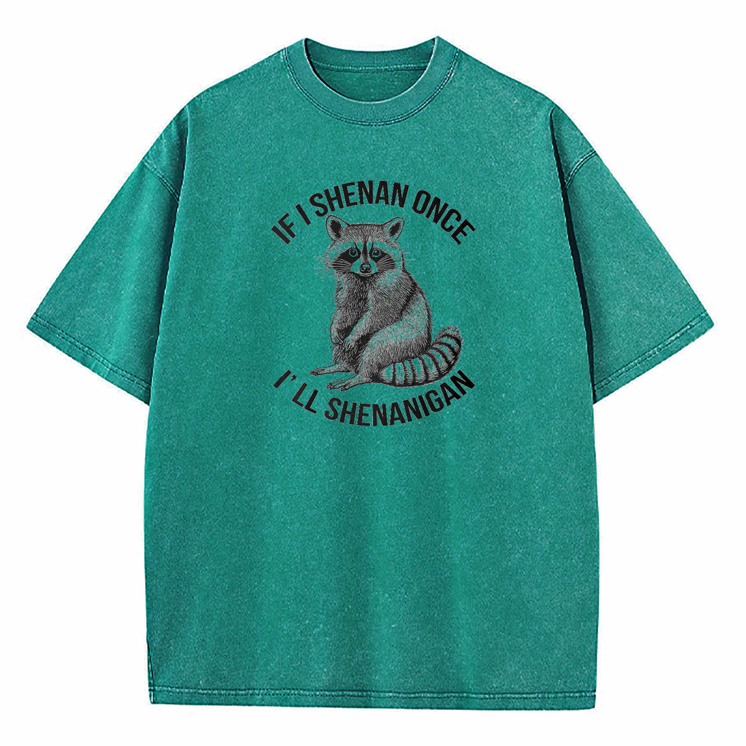 If I Shenan Once I'll Shenanigan Washed T-Shirt