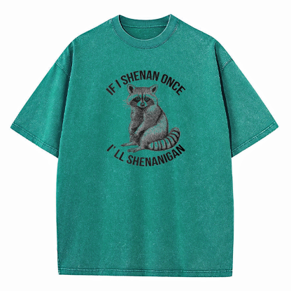 If I Shenan Once I'll Shenanigan Washed T-Shirt