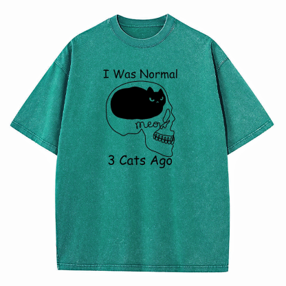I Was Normal 3 Cats Ago Washed T-Shirt