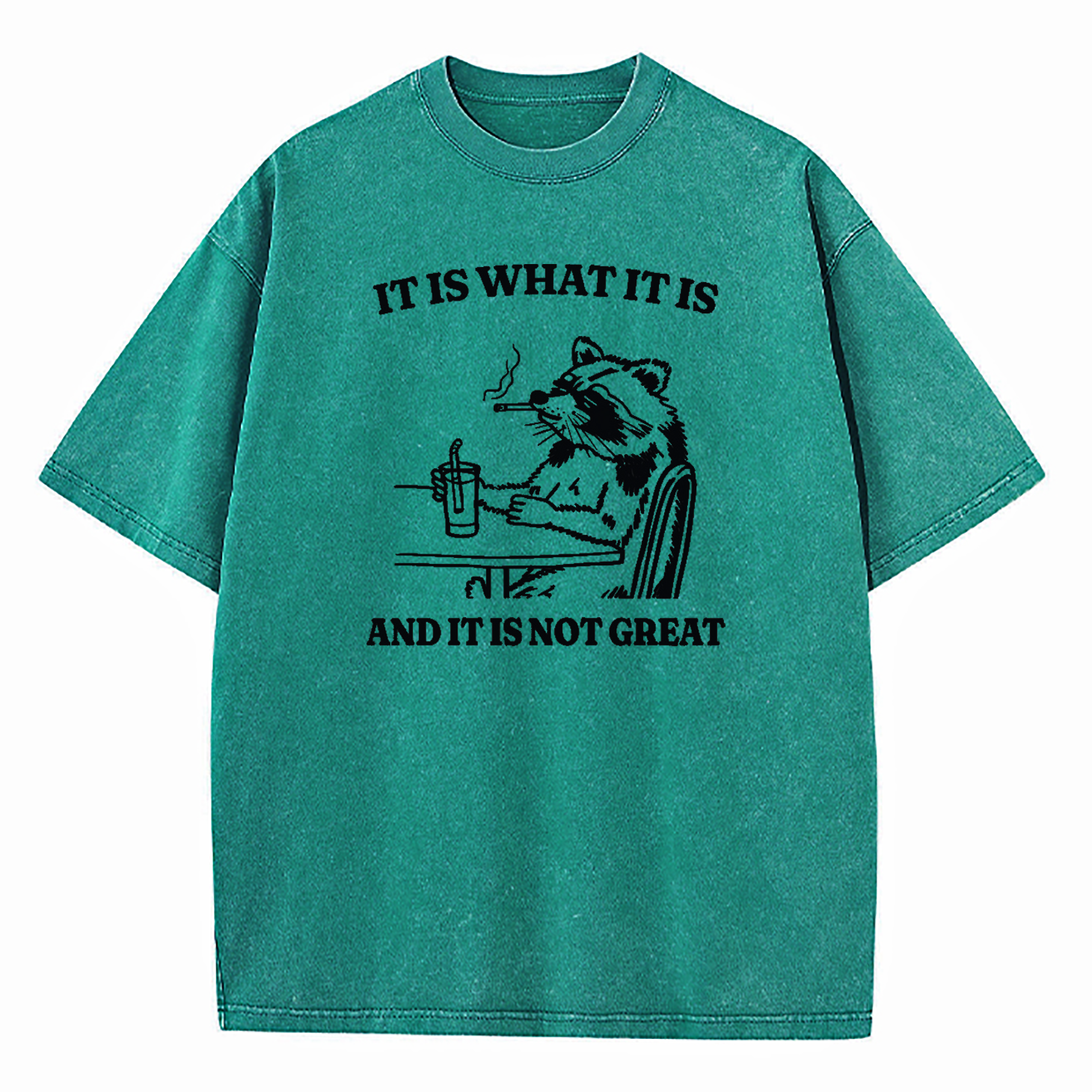 It Is What It Is Funny Washed T-Shirt