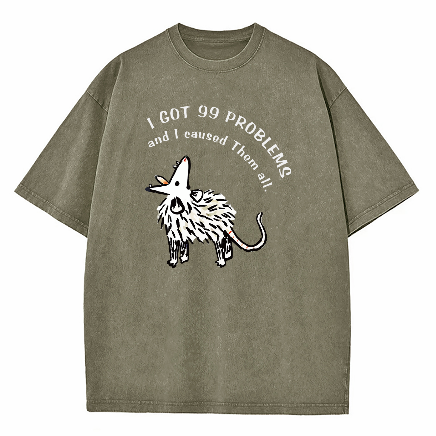 I Got 99 Problems And I Caused Them All Washed T-Shirt