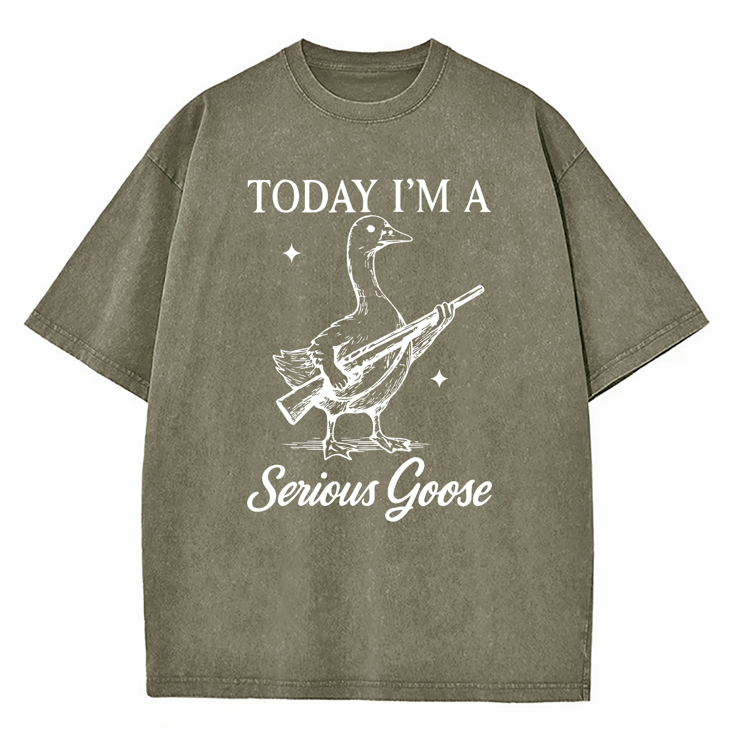 Today I'm A Serious Goose Washed T-Shirt