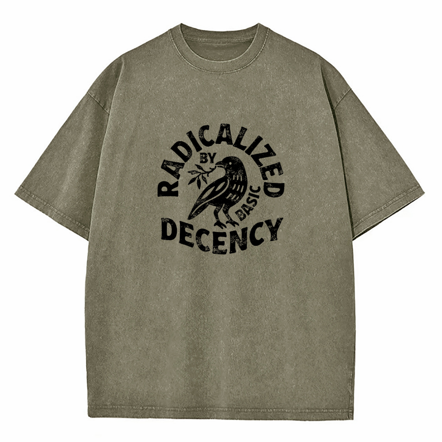 Radicalized By Basic Decency Washed T-Shirt