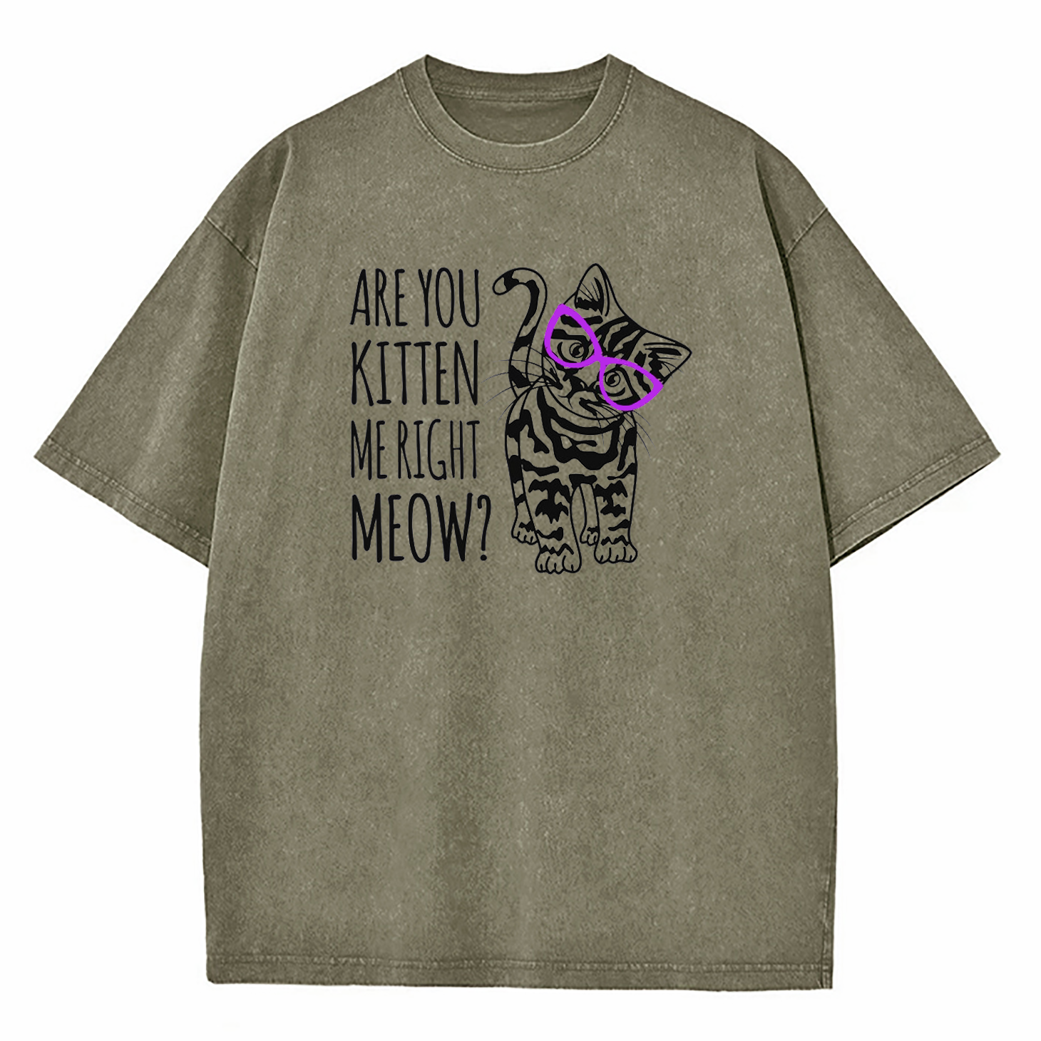 Are You Kitten Me Right Meow Washed T-Shirt