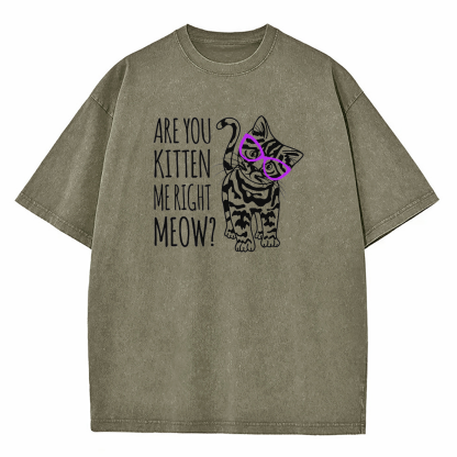 Are You Kitten Me Right Meow Washed T-Shirt