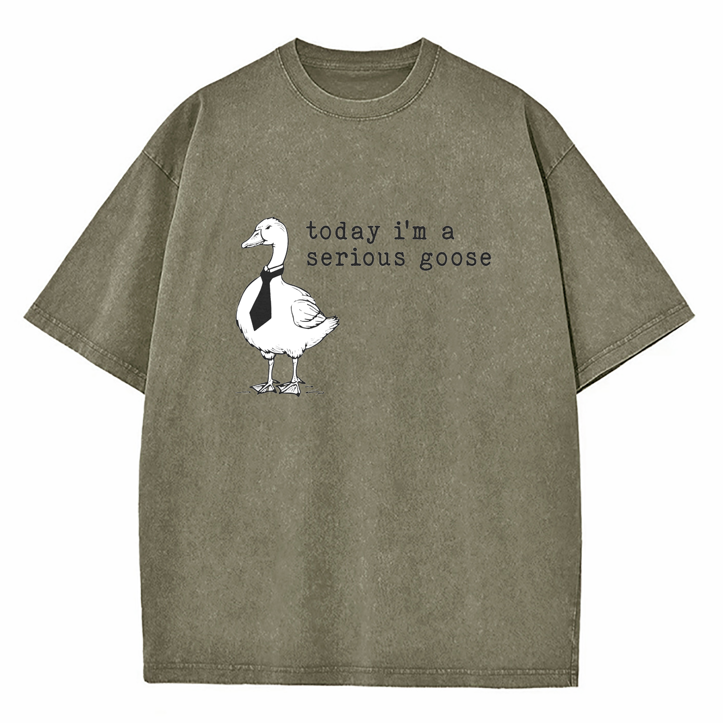 Today I'm A Serious Goose Washed T-Shirt