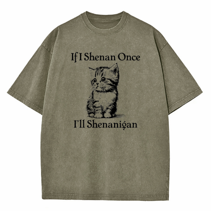  If I Shenan Once I'll Shenanigan Washed T-Shirt