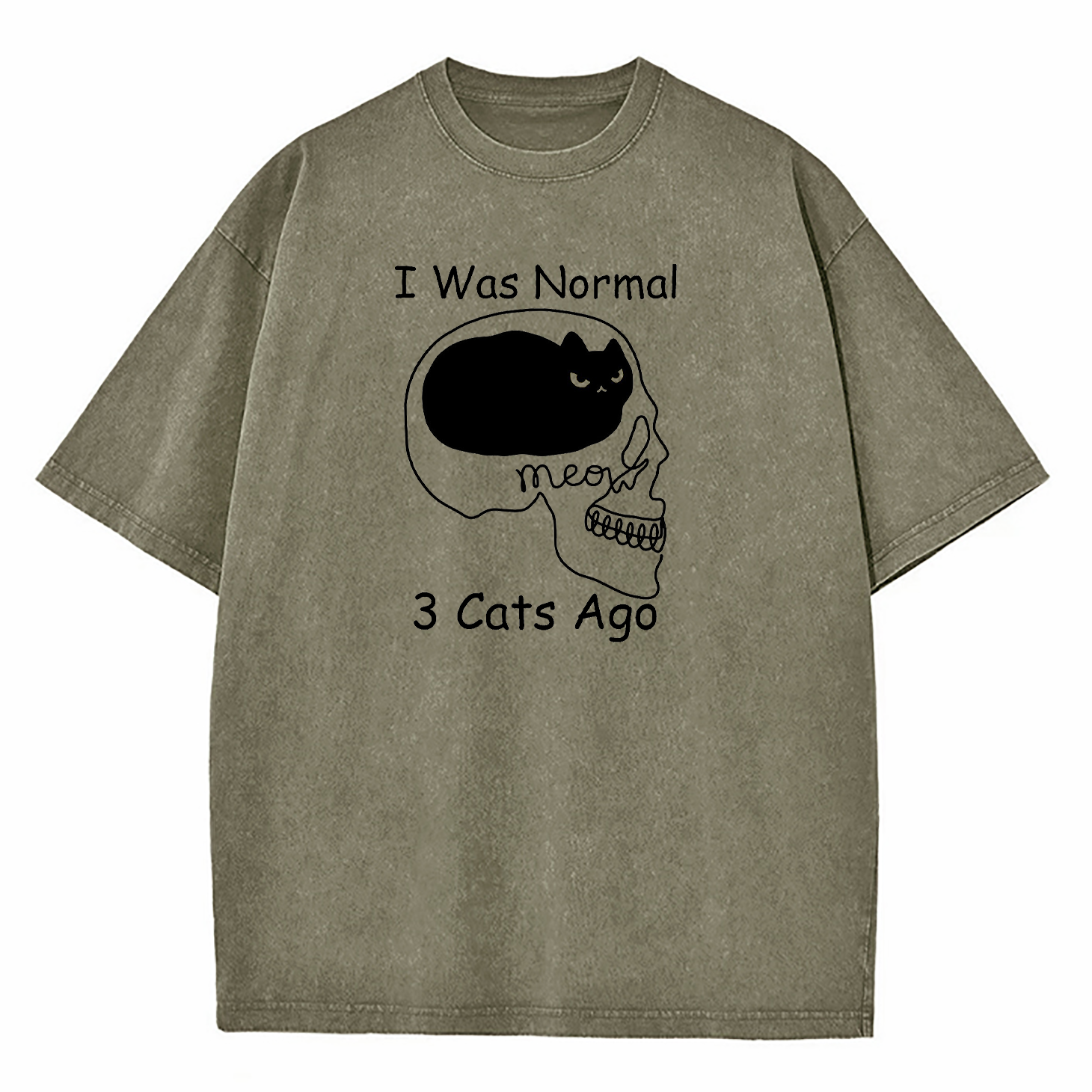 I Was Normal 3 Cats Ago Washed T-Shirt