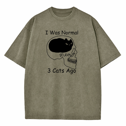I Was Normal 3 Cats Ago Washed T-Shirt