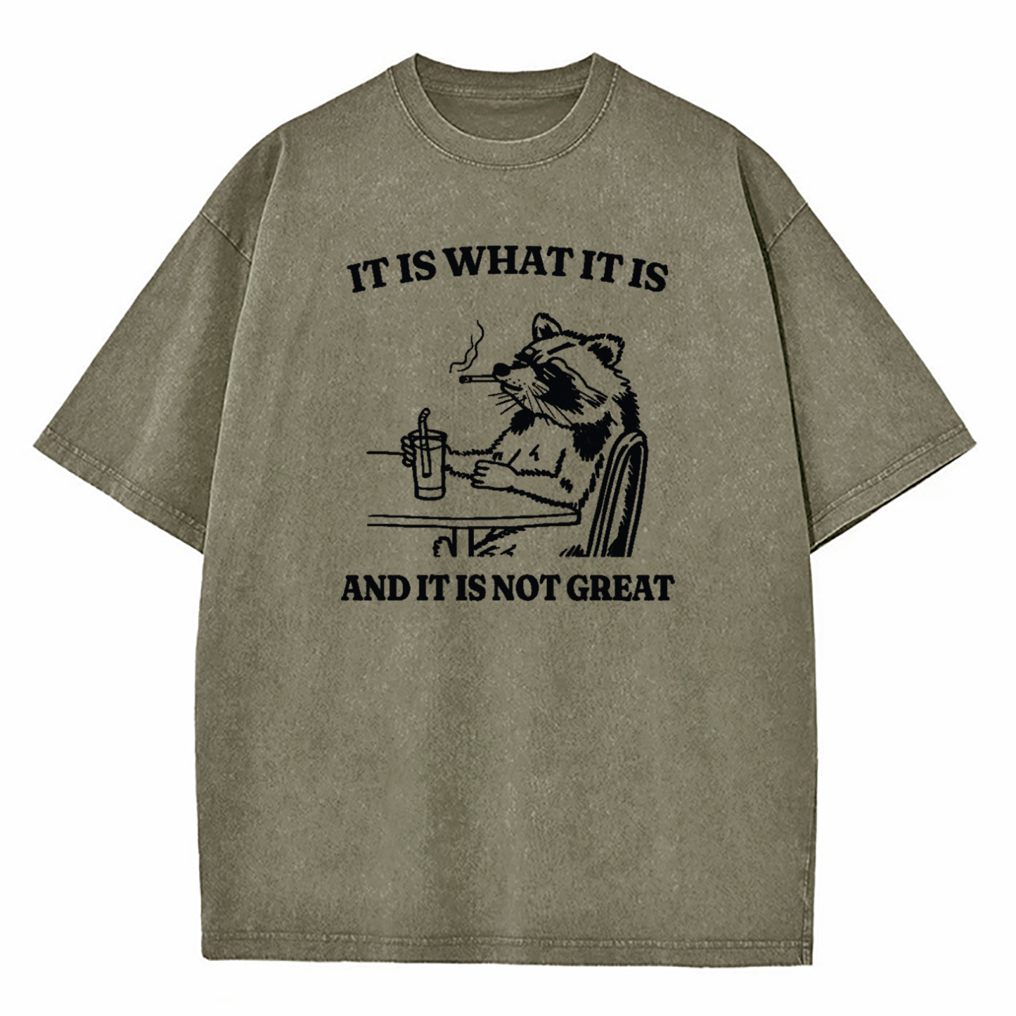It Is What It Is Funny Washed T-Shirt