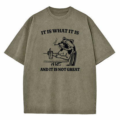 It Is What It Is Funny Washed T-Shirt