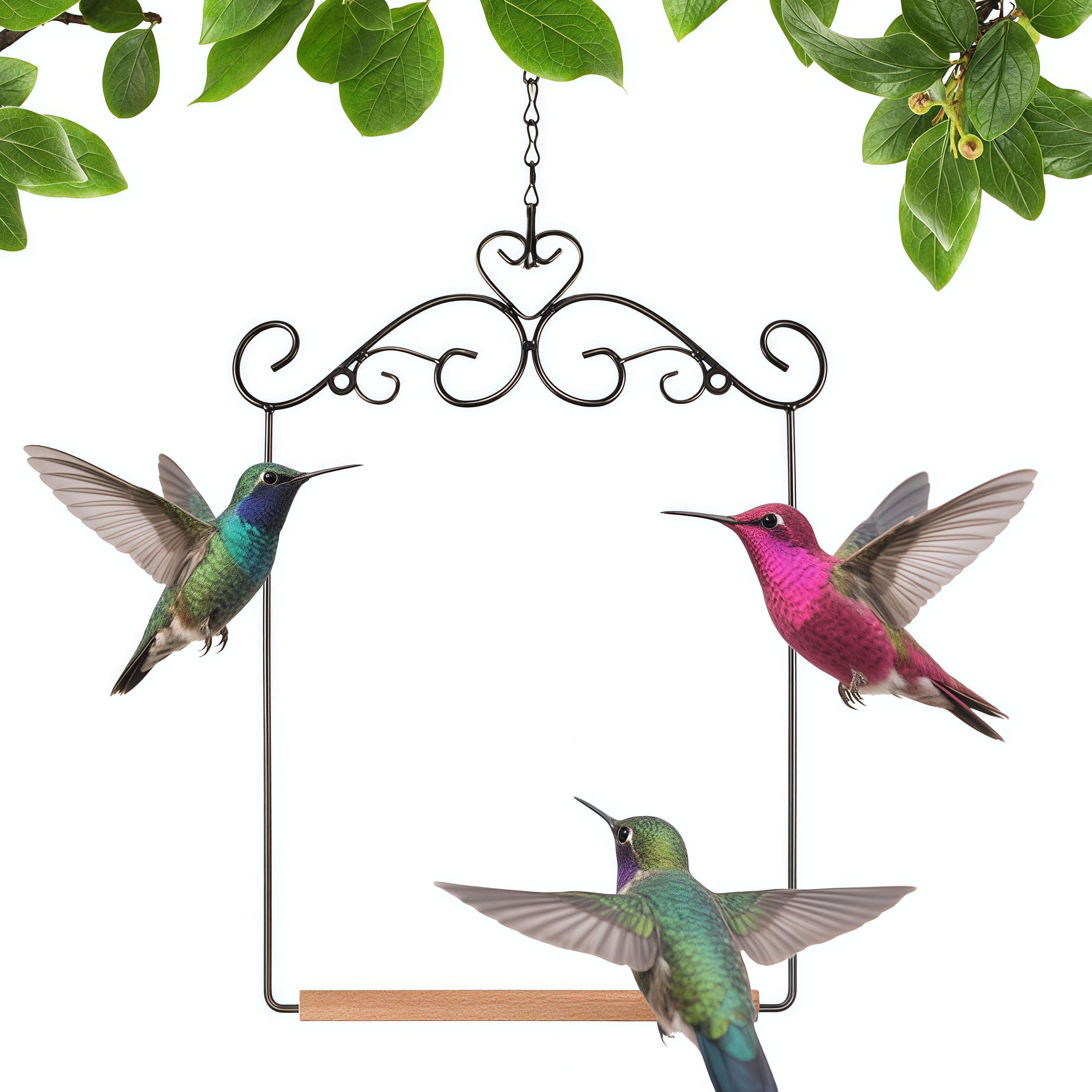 Metal Frame Bird Swing with Wooden Dowel and Hanging Chain Perch