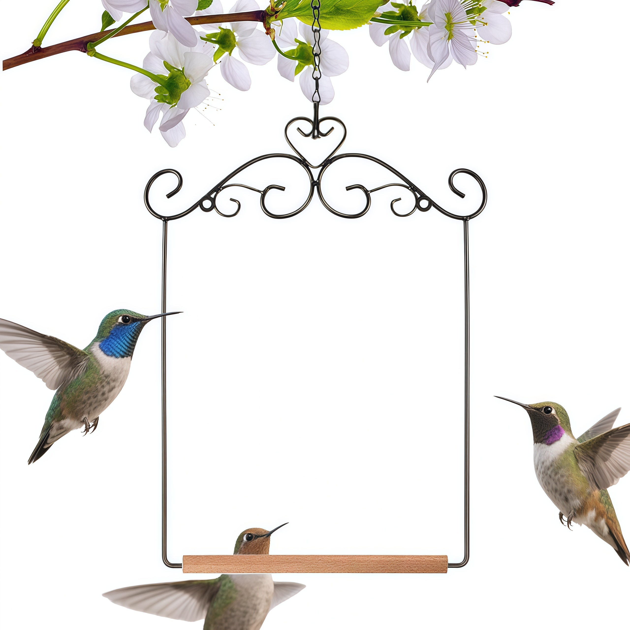 Metal Frame Bird Swing with Wooden Dowel and Hanging Chain Perch
