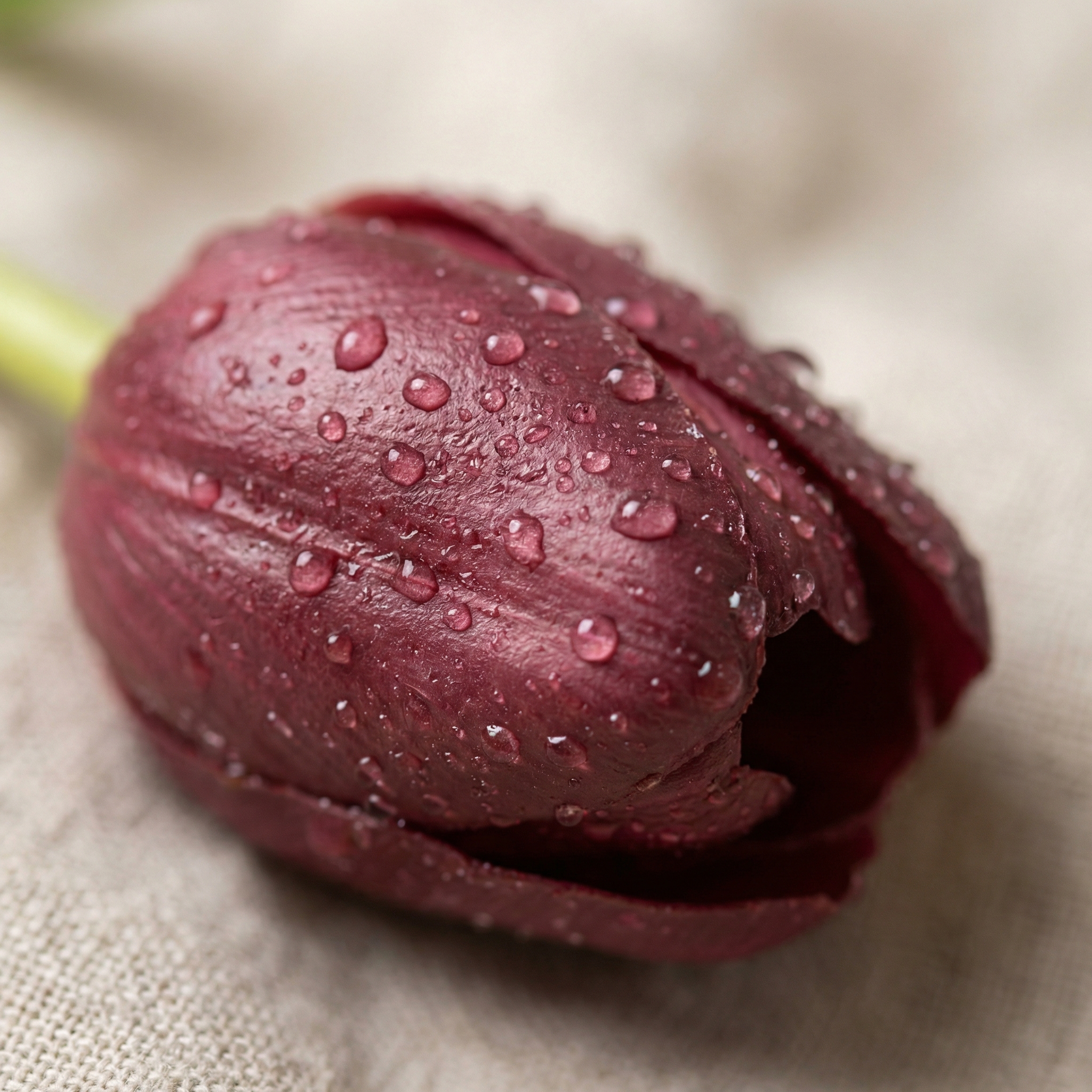 Real Touch Latex Tulip Bouquet (15pcs) – 3 Bunches Faux Tulips for Spring Home & Wedding Decor