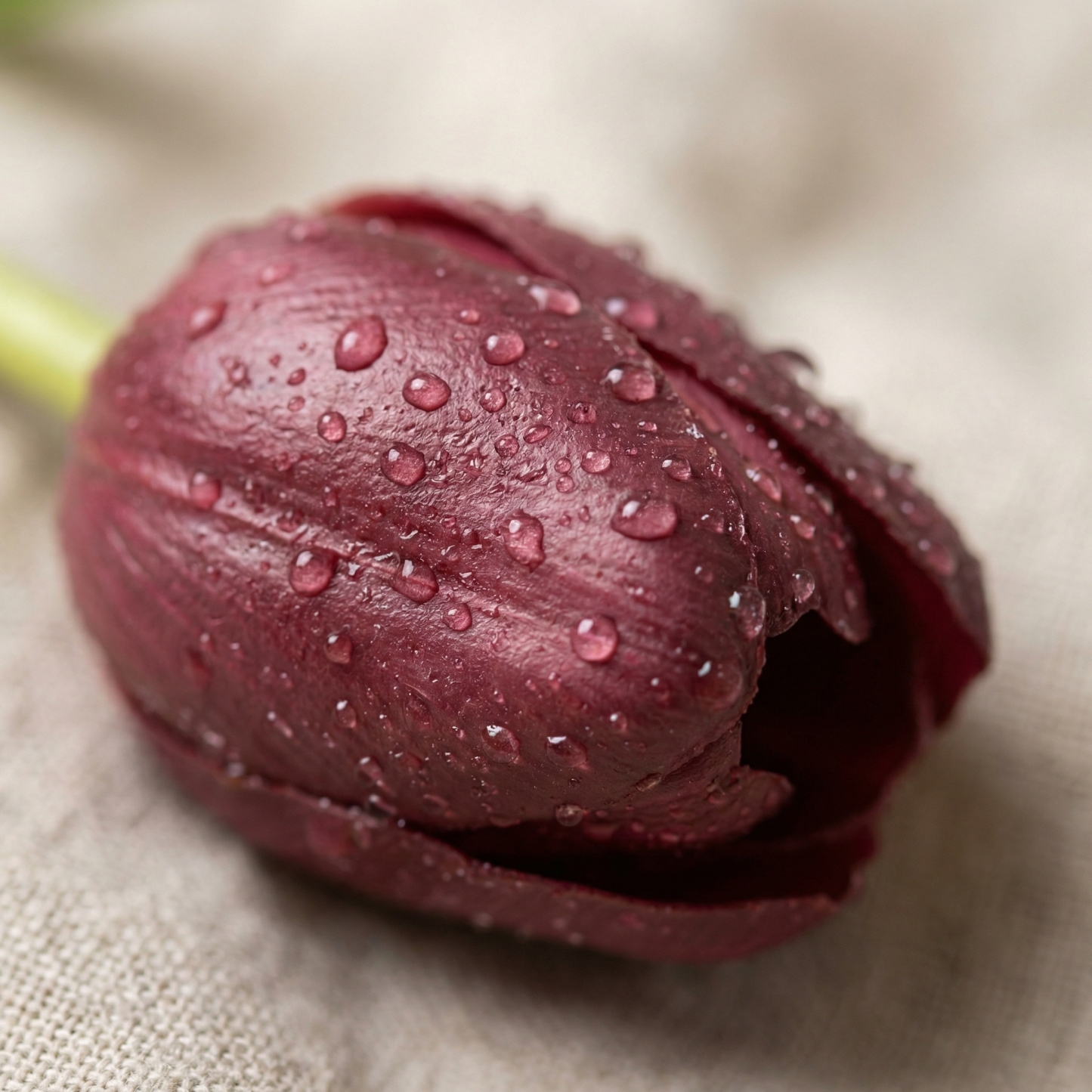 Real Touch Latex Tulip Bouquet (15pcs) – 3 Bunches Faux Tulips for Spring Home & Wedding Decor