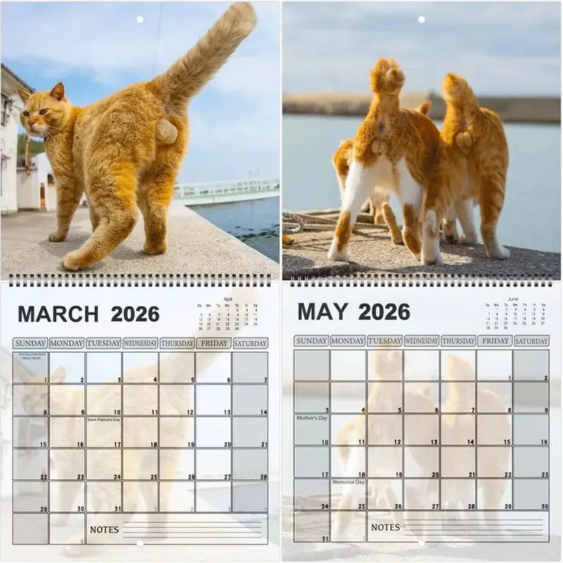 Funny 2026 Cat Calendar