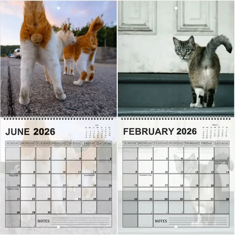 Funny 2026 Cat Calendar