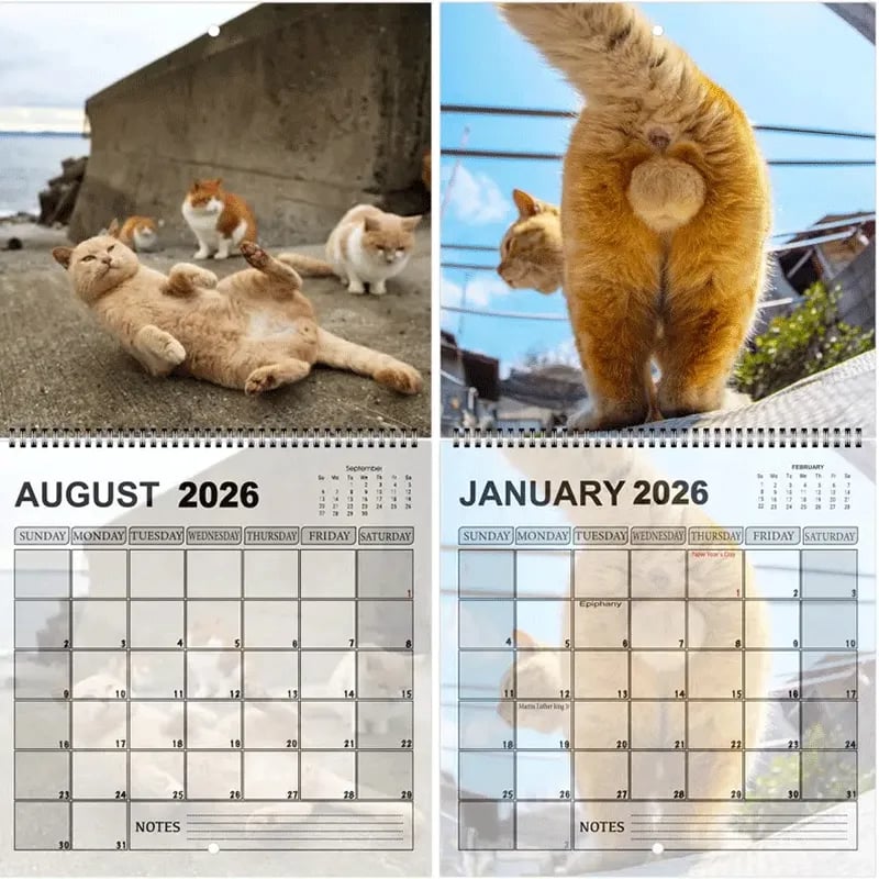 Funny 2026 Cat Calendar