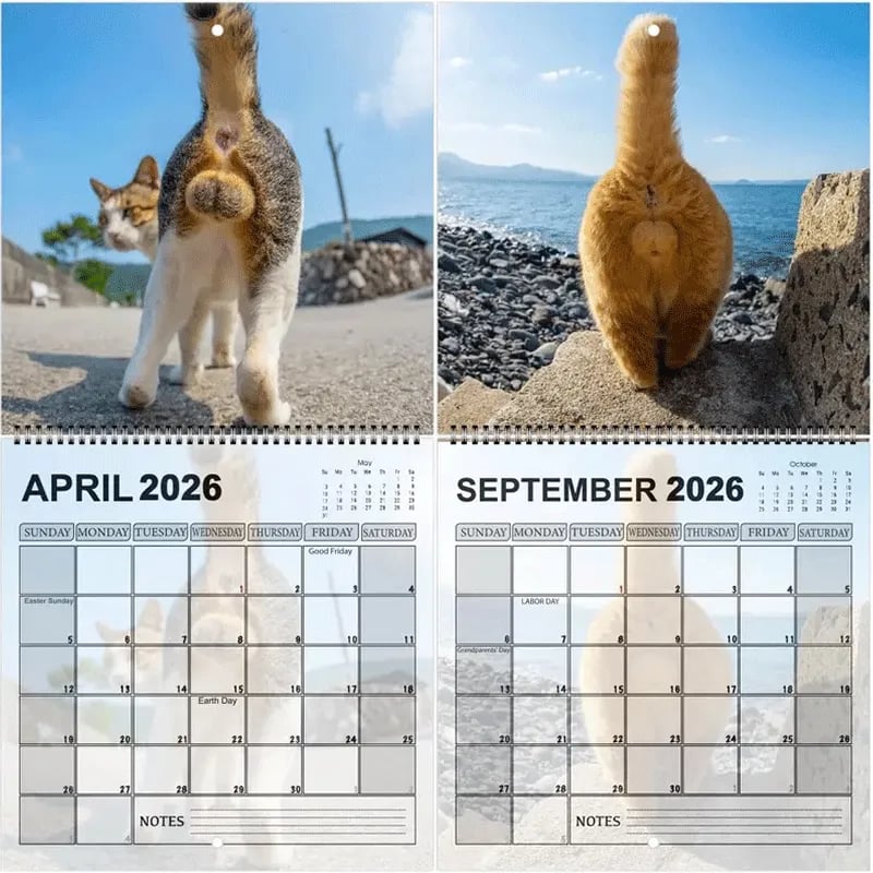Funny 2026 Cat Calendar