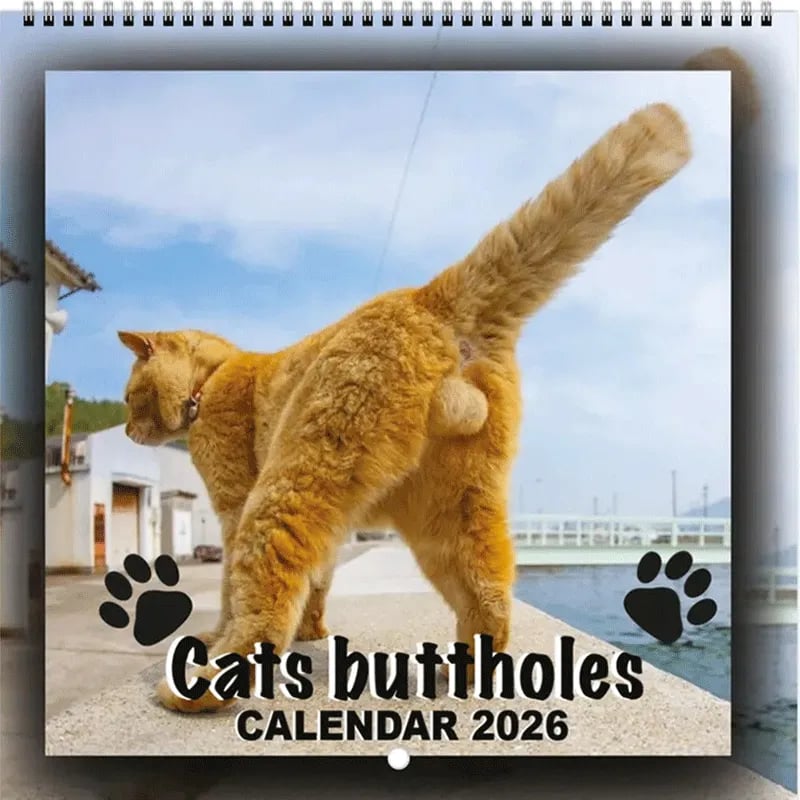 Funny 2026 Cat Calendar