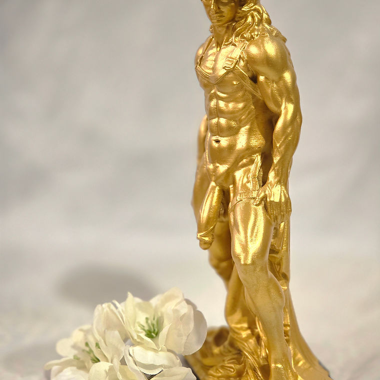 The "Hung in Gold" Male Sculpture