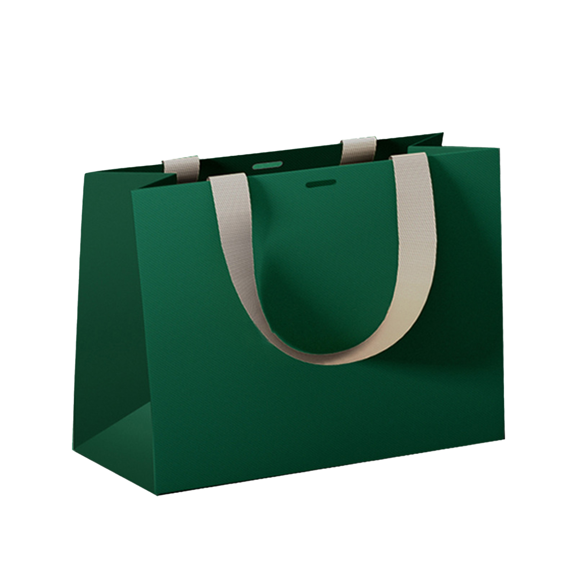 Luxury Gift Bag