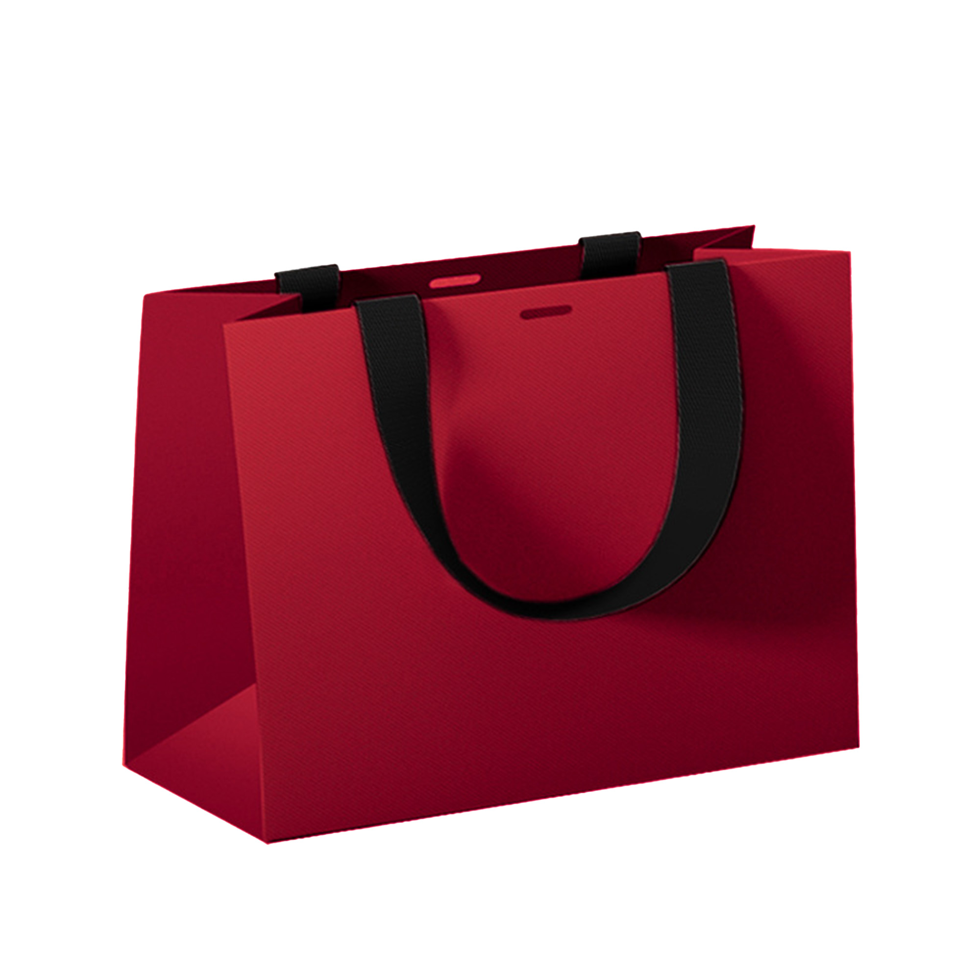 Luxury Gift Bag
