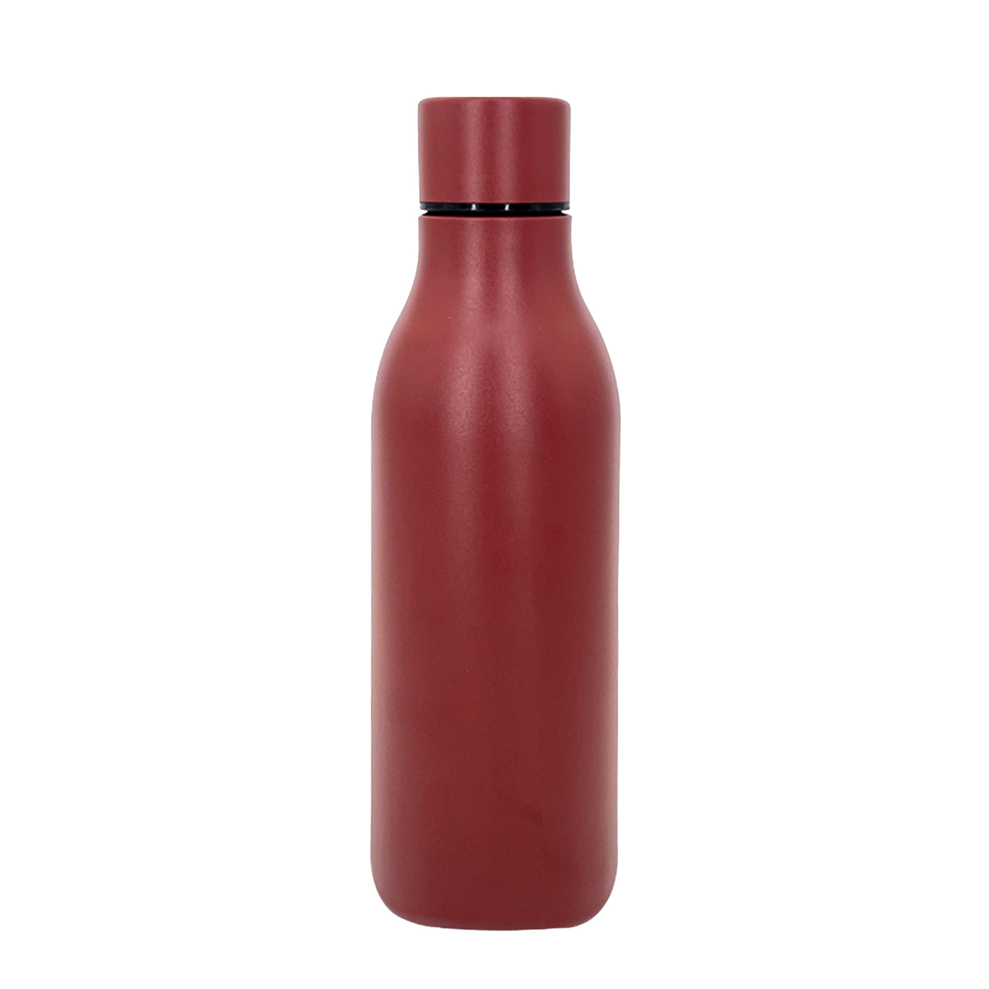 Insulated Stainless Steel Bottle