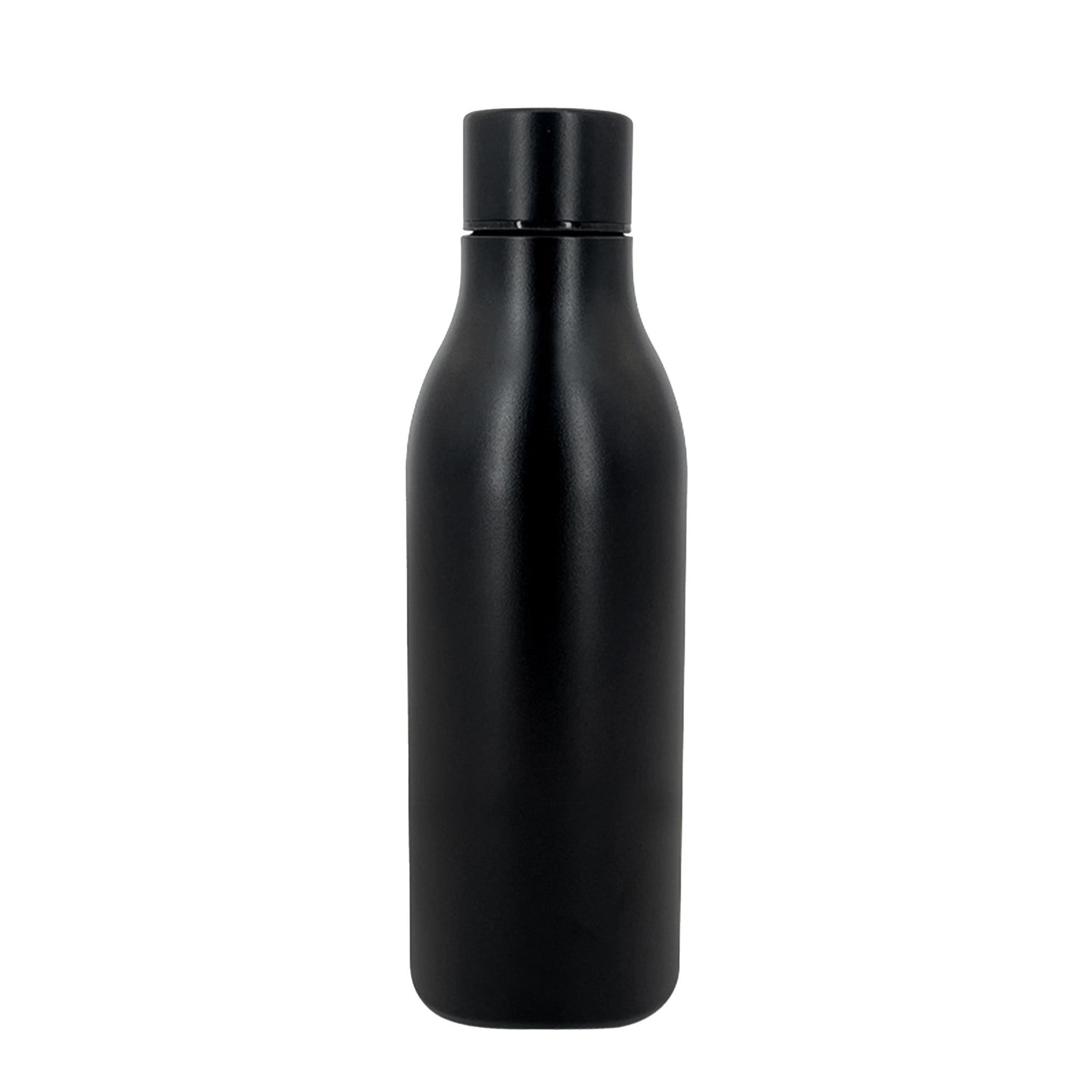 Insulated Stainless Steel Bottle