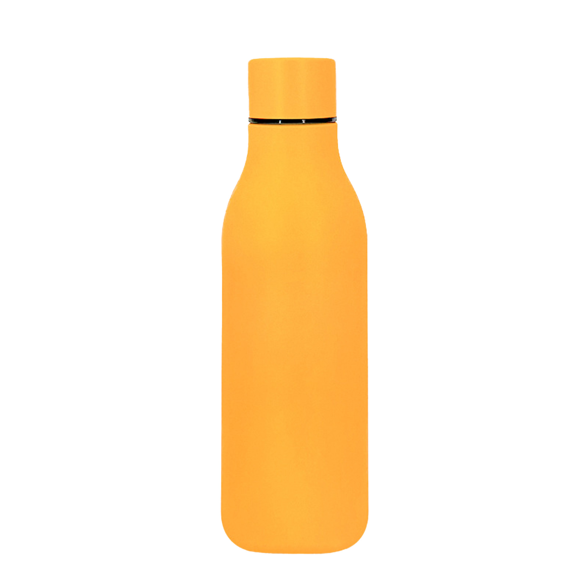 Insulated Stainless Steel Bottle