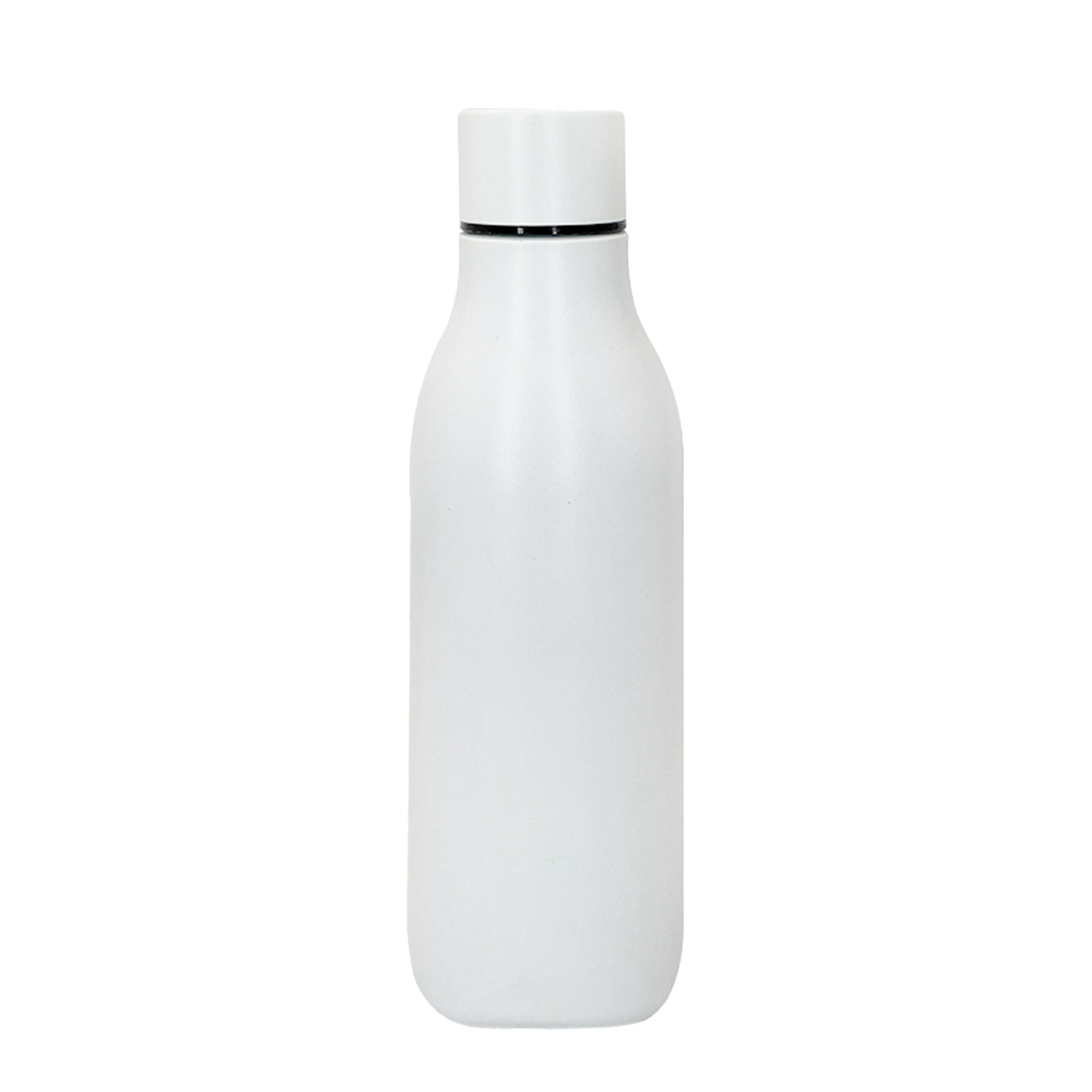 Insulated Stainless Steel Bottle