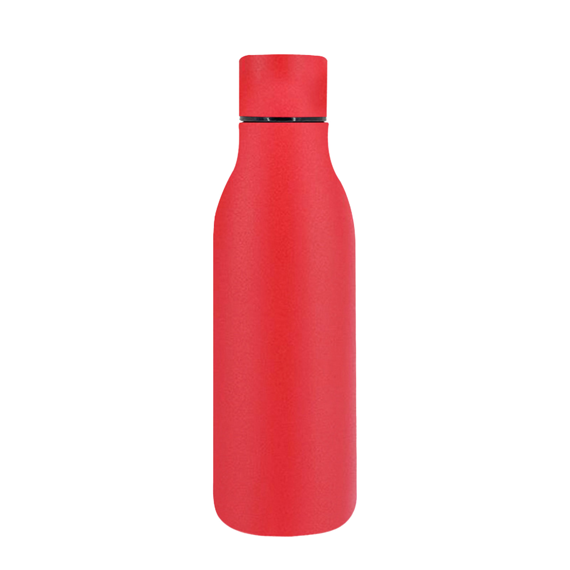 Insulated Stainless Steel Bottle