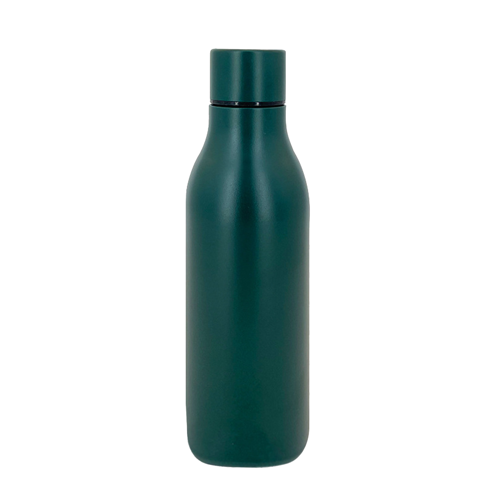 Insulated Stainless Steel Bottle