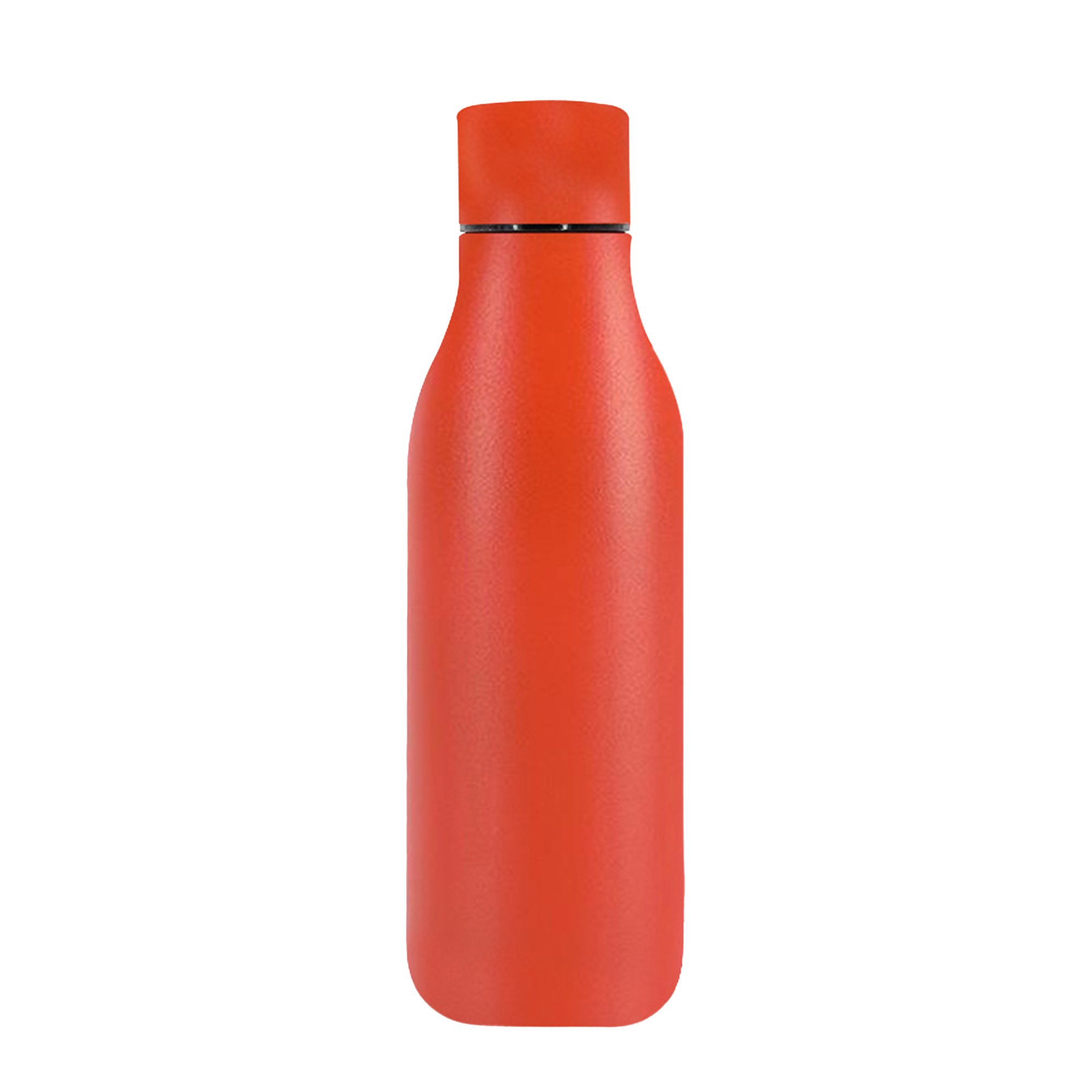 Insulated Stainless Steel Bottle