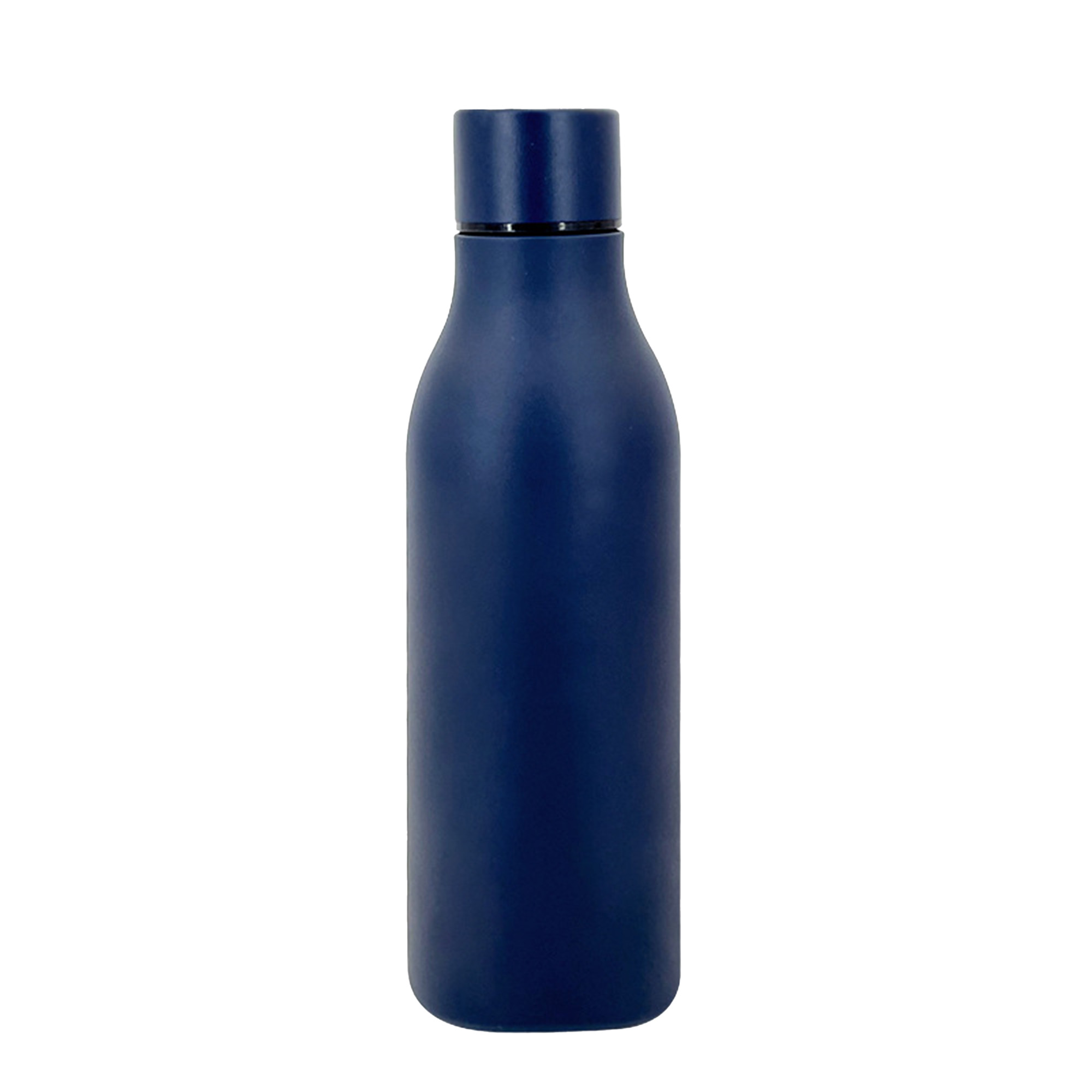 Insulated Stainless Steel Bottle