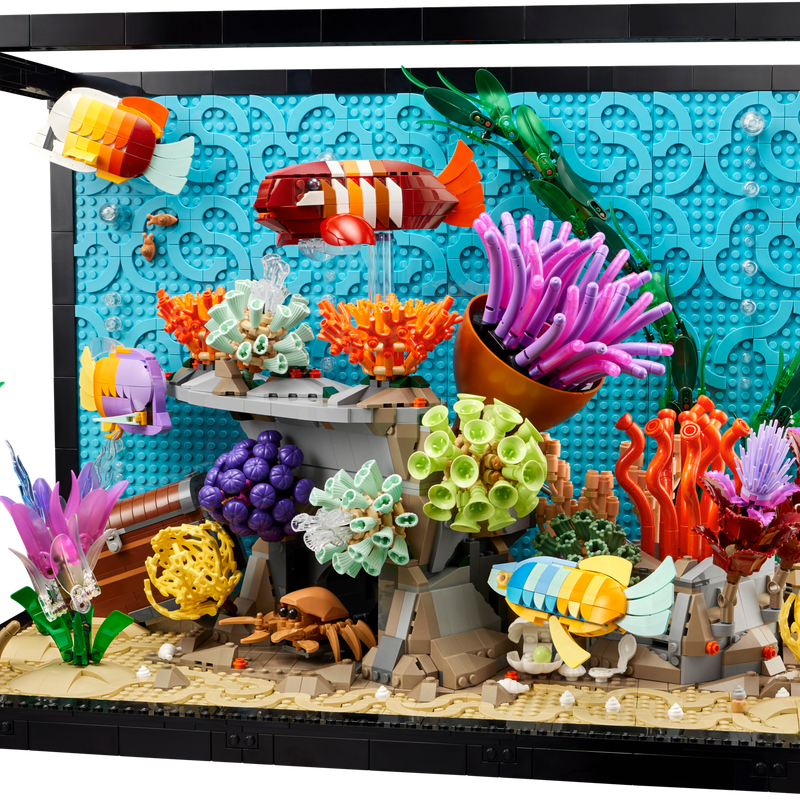 Tropical Aquarium