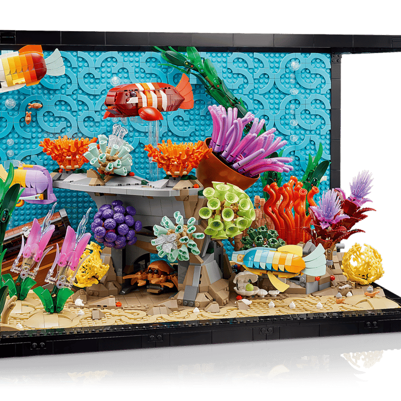 Tropical Aquarium