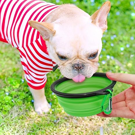 Dog Bowl Pet Collapsible Bowls