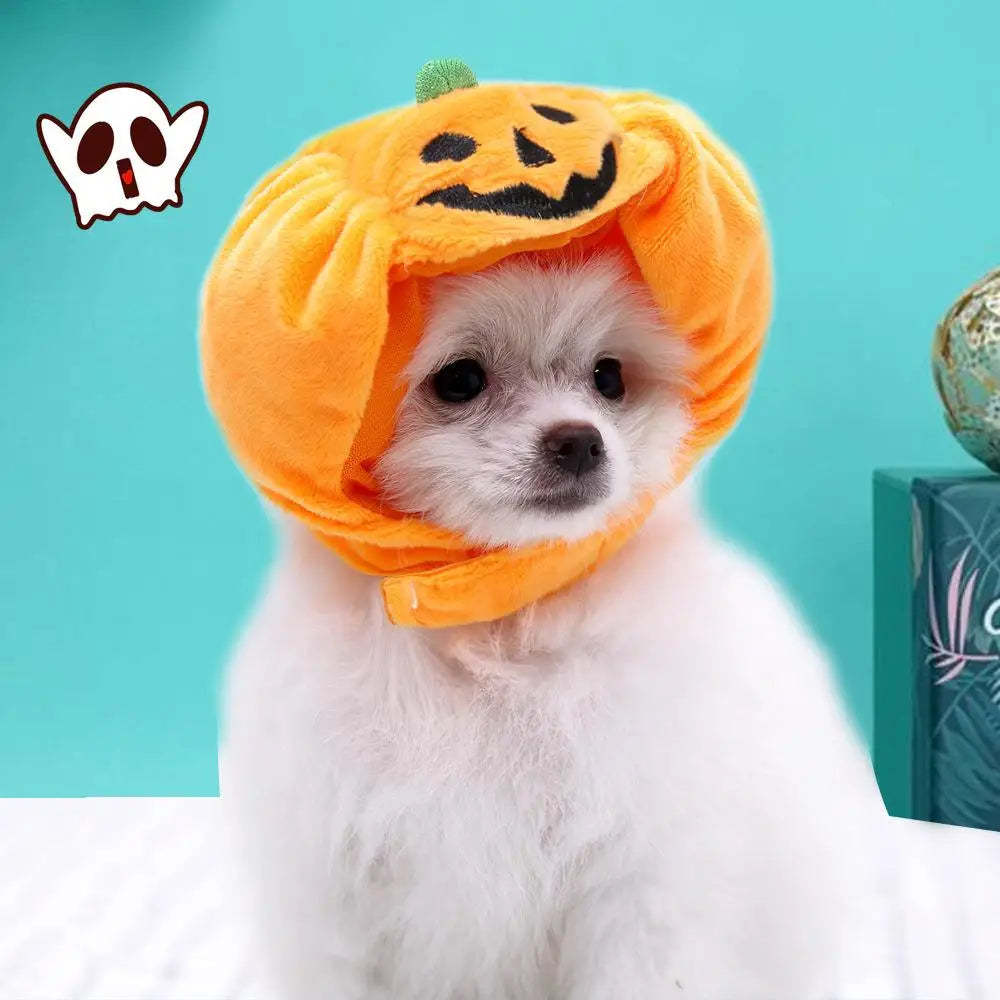 Halloween Dog Pumpkin Costume Hat - Cute & Comfy Pet Halloween Outfit