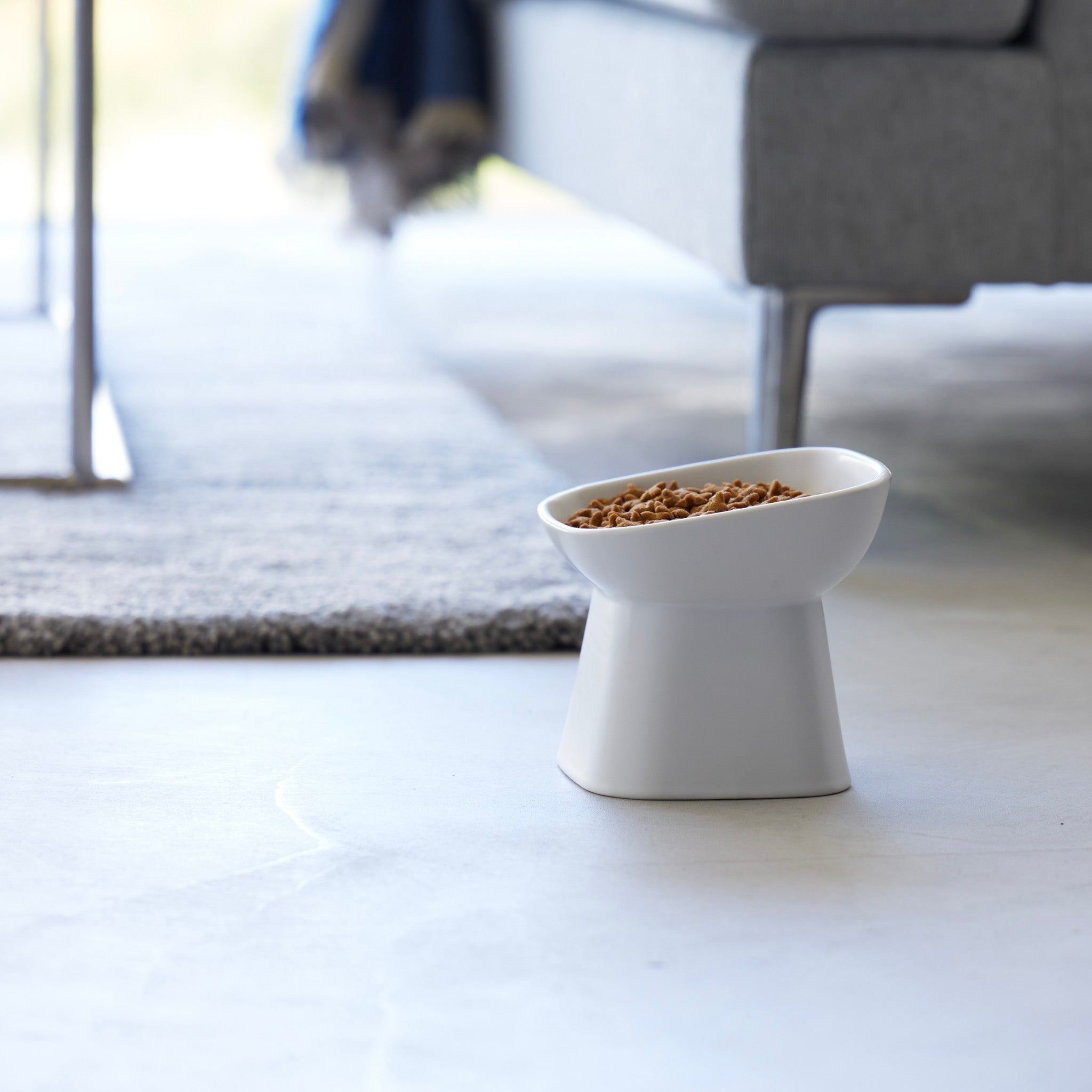 Angled Ceramic Pet Food Bowl
