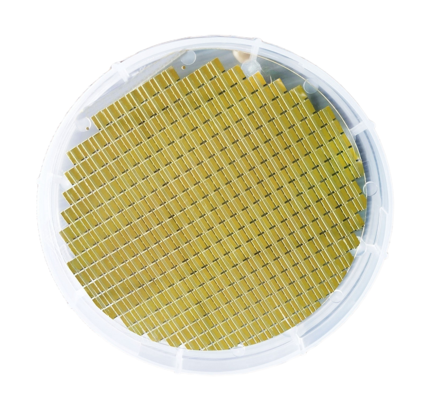 Gold - tin alloy ceramic substrate