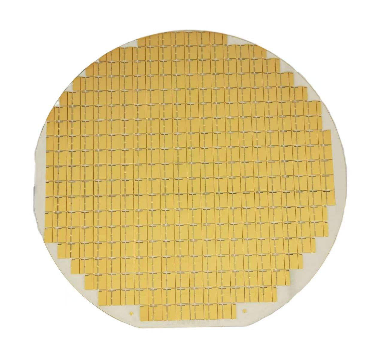 Ceramic metallized silicon carbide