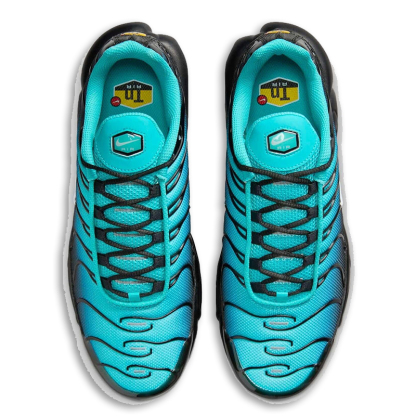 Nitthhke Air Max Plus TN  Dark Obsidian