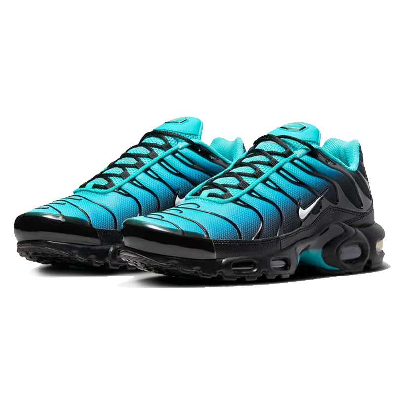 Nitthhke Air Max Plus TN  Dark Obsidian