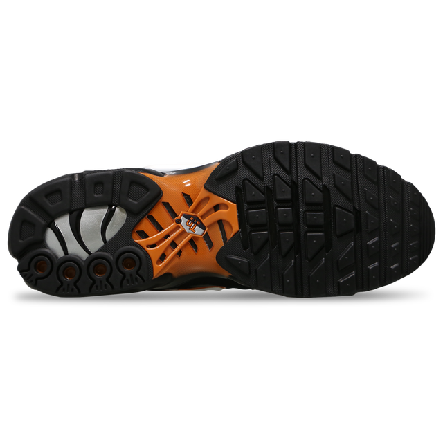 Nitthhke Air Max Plus TN  Dark Obsidian