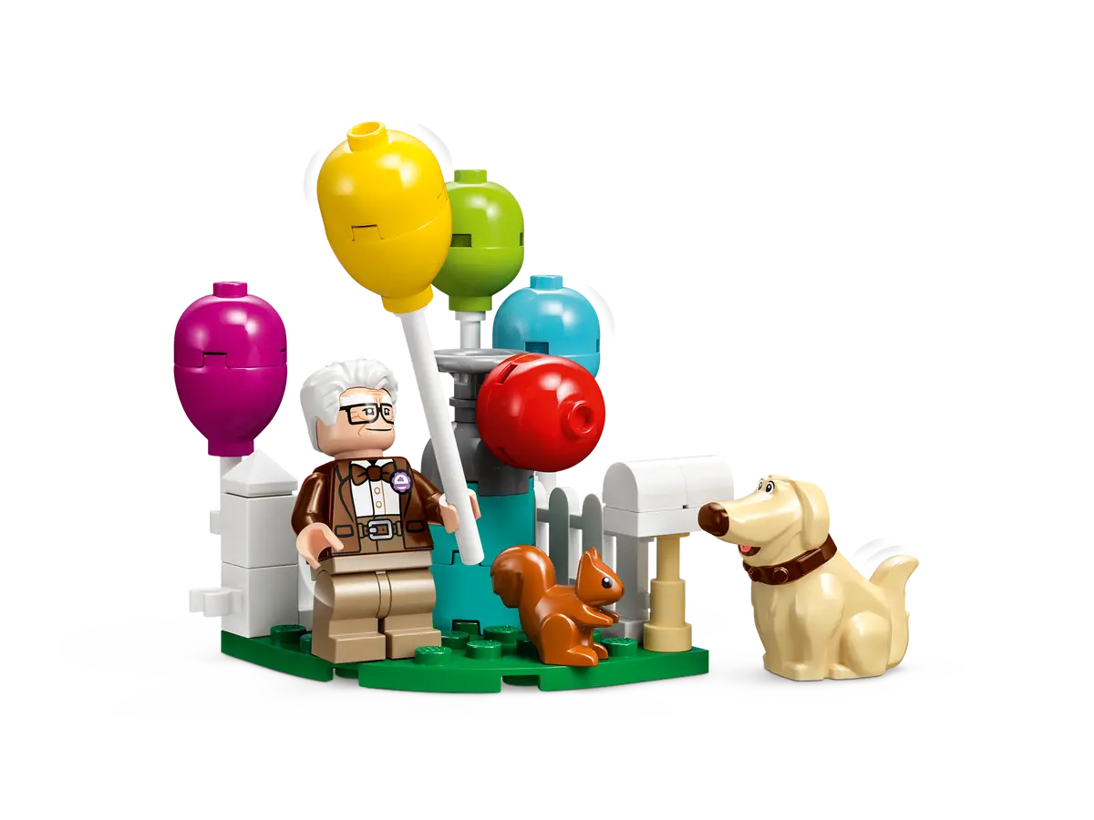 ‘Up’ House​