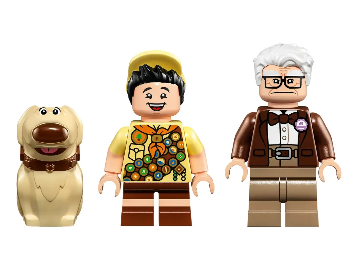 ‘Up’ House​
