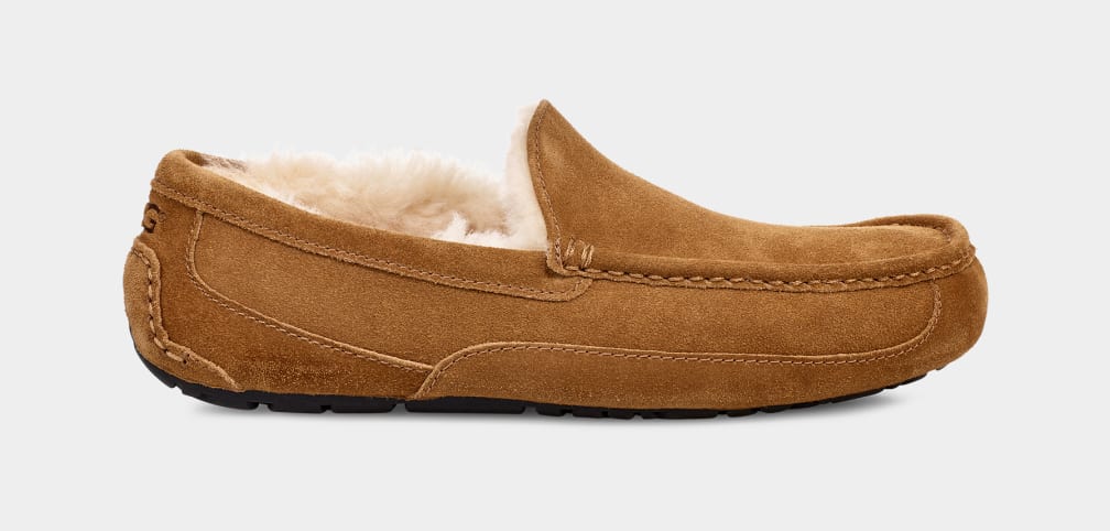 Ascot Slipper - MEN��s